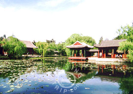 Garden in Summer Palace, Beijing